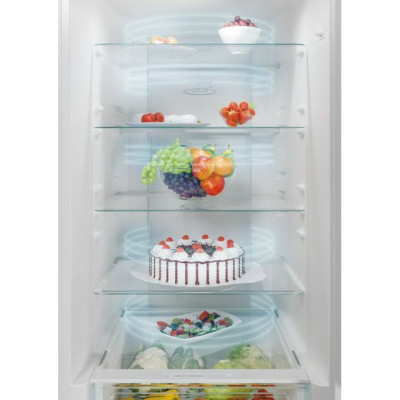 Холодильник Candy CCE4T620ES-23-зображення