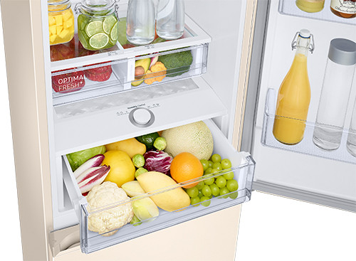 Холодильник Samsung RB36T674FEL/UA-23-зображення