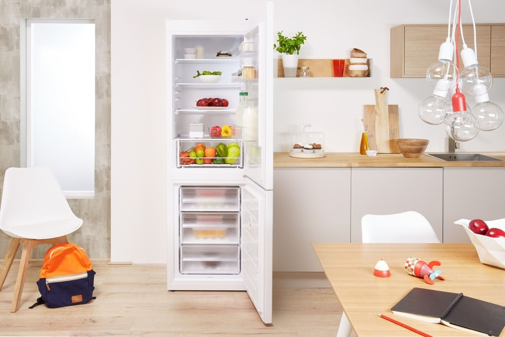 Холодильник Indesit IBS 16 AA (UA)-13-зображення