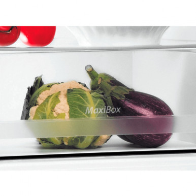 Холодильник Indesit LI7SN1EW-9-зображення