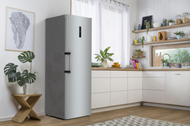 Холодильник Gorenje R619EAXL6-54-зображення