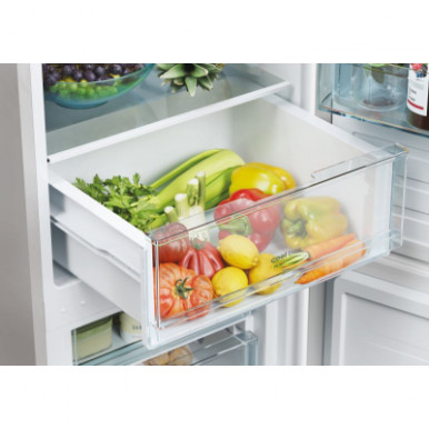Холодильник Candy CCT3L517FS-20-зображення