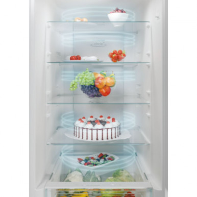 Холодильник Candy CCE4T620EW -17-изображение