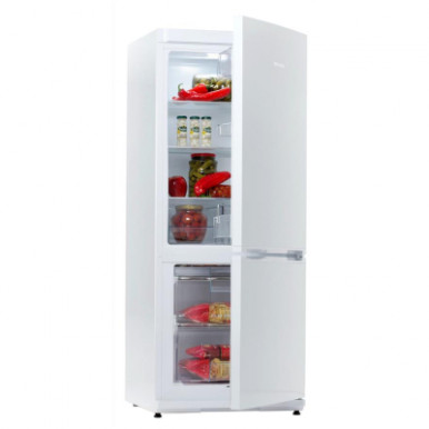 Холодильник Snaige RF27SM-P0002E-14-зображення