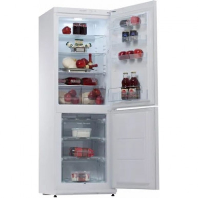Холодильник Snaige RF31SM-S0002E-13-изображение