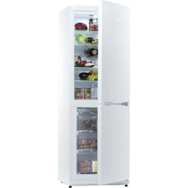 Холодильник Snaige RF31SM-S0002E-14-зображення