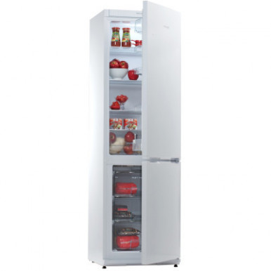 Холодильник Snaige RF36SM-S0002E-18-зображення