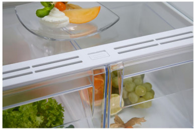 Холодильник Electrolux RNT6NE18S-14-зображення