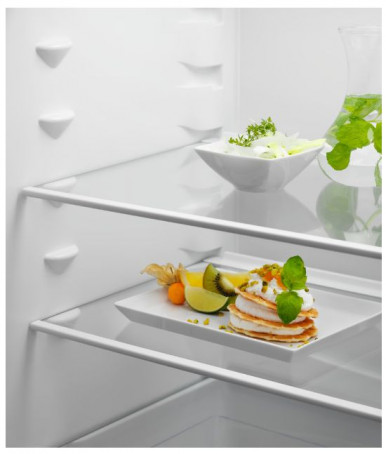 Холодильник Electrolux RNT6NE18S-18-зображення