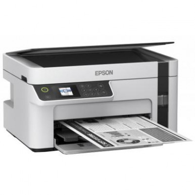 Многофункциональное устройство Epson M2110 (C11CJ19401)-10-изображение