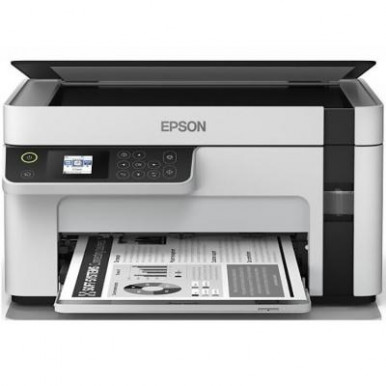 Многофункциональное устройство Epson M2110 (C11CJ19401)-11-изображение