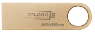 Flash Drive Kingston DT SE9 G3 256GB USB 3.2 Gold (DTSE9G3/256GB)-19-зображення