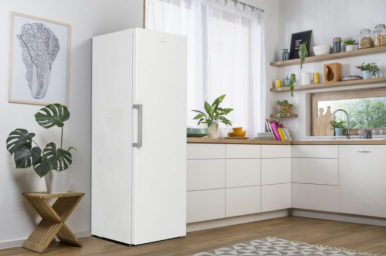 Морозильна камера Gorenje FN 619 EEW5-19-зображення