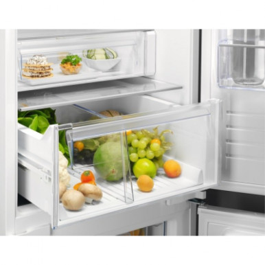 Холодильник Electrolux RNT6TE19S0-11-зображення