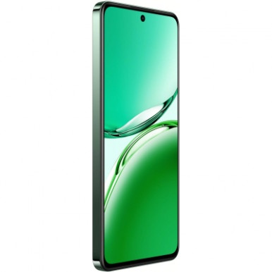 Мобільний телефон Oppo Reno12 FS 5G 12/512GB Black Green (OFCPH2637_BLACK)-11-зображення