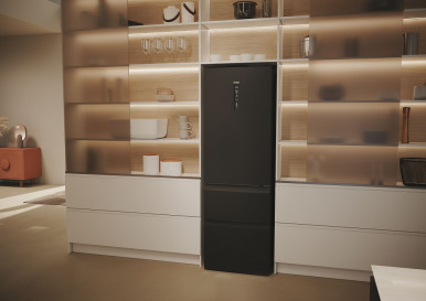 Холодильник Haier HTW5618ENPT-91-зображення