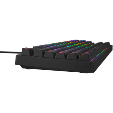 Клавиатура Hator Rockfall 2 Optica TKL Black USB Black (HTK-730)-10-изображение