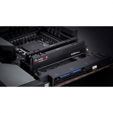 Модуль памяти для компьютера DDR5 48GB (2x24GB) 5200 MHz Flare X5 G.Skill (F5-5200J4040A24GX2-FX5)-10-изображение