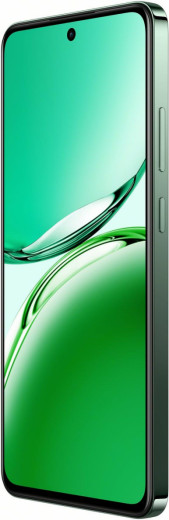 Смартфон OPPO Reno12 FS 12/512GB Black Green-11-изображение