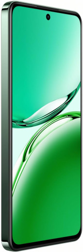 Смартфон OPPO Reno12 FS 12/512GB Black Green-14-изображение