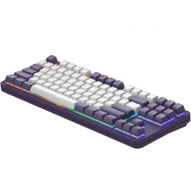 Клавіатура Dark Project ALU87 Celestial ABS RGB Mech G3MS Voidstone USB Violet (DPKB_VIOLET_87_ANSI_UA)-15-зображення