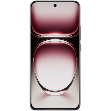 Смартфон OPPO Reno 12 12/256GB Black Brown-39-зображення