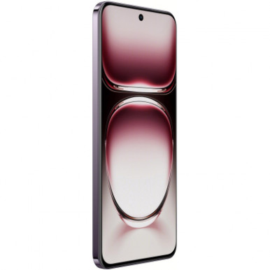 Смартфон OPPO Reno 12 12/256GB Black Brown-56-зображення