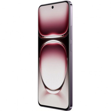 Смартфон OPPO Reno 12 12/256GB Black Brown-57-зображення