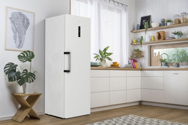 Морозильна камера Gorenje FN 619 EAW6-25-зображення