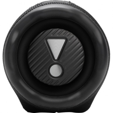 Акустична система JBL Charge 6 Чорний-17-зображення