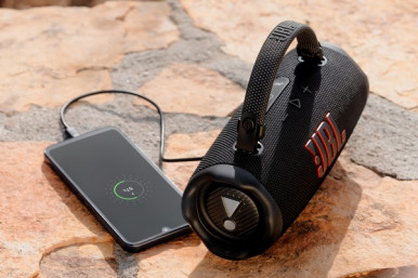 Портативна акустика JBL Charge 6 Pink (JBLCHARGE6PINK)-29-зображення