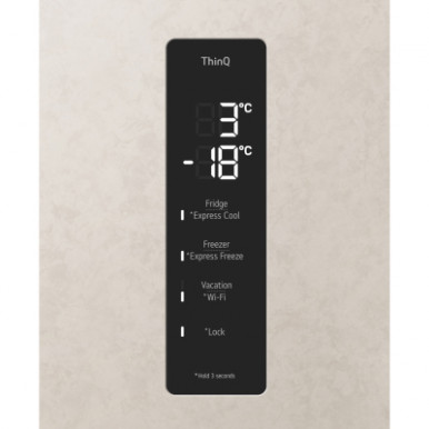 Холодильник LG GC-B509FEPW-21-зображення