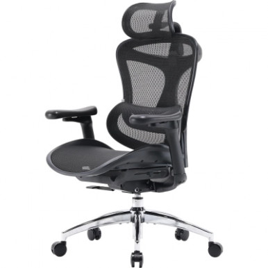Офісне крісло Sihoo DORO C300L Mesh Black (DORO-C300L-A3-101)-12-зображення