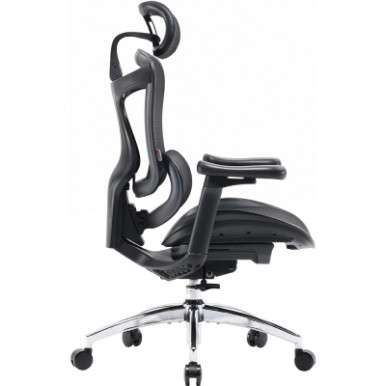 Офісне крісло Sihoo DORO C300L Mesh Black (DORO-C300L-A3-101)-18-зображення