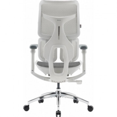 Офісне крісло Sihoo DORO S100 Mesh White (S100-M302)-17-зображення