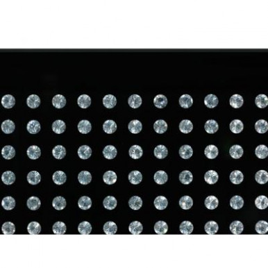 Весы напольные Bosch PPW 1010 (PPW1010)-14-изображение