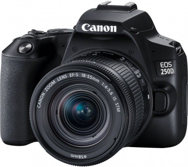 Фотоаппарат CANON EOS 250D 18-55 IS STM Black (3454C007)-45-изображение