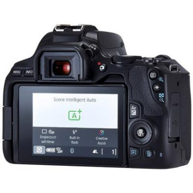 Цифровой фотоаппарат Canon EOS 250D 18-55 DC III Black kit (3454C009)-15-изображение