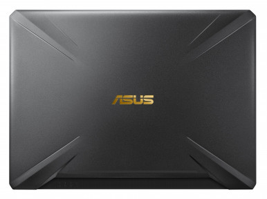 Ноутбук Asus TUF Gaming FX505GM (FX505GM-ES040T) Gold Steel-11-изображение