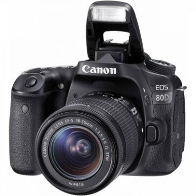 Цифровий фотоапарат Canon EOS 80D + 18-55 IS STM (1263C038)-19-зображення