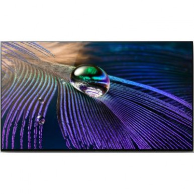 Телевiзор 55" OLED 4K Sony XR55A90JCEP Smart, Android, Titanium-24-зображення