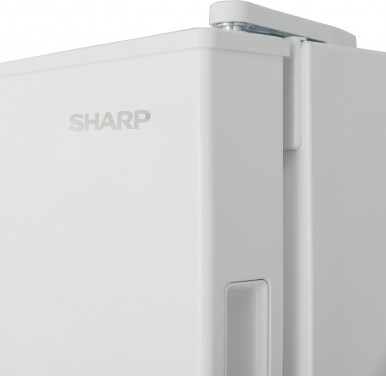 Морозильная камера Sharp SJ-S1182E2W-UA-12-изображение