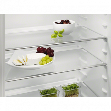 Холодильник Electrolux ERN1200FOW-9-изображение