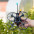 Квадрокоптер Foxeer Foxwhoop 35 Unbreakable (2105_5_3650KV_CROSSFIRE_NANO_VISTA_RHCP)-4-зображення