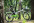 Електровелосипед Maxxter URBAN (white-green)-0-изображение
