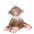 Мягкая игрушка sigikid Beasts Мама Макака 39118SK-0-изображение