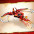 Конструктор LEGO NinjaGo Истребитель Кая 71704-1-изображение