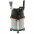Моющий пылесос Thomas Prestige 20 S Aquafilter-6-изображение