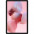 Планшет Oscal Pad 18 8/256GB Dual Sim Interstellar Grey (Pad 18 8/256GB Dual Sim Interstellar Gre)-0-изображение
