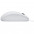 Мышка Logitech B100 White (910-003360)-1-изображение